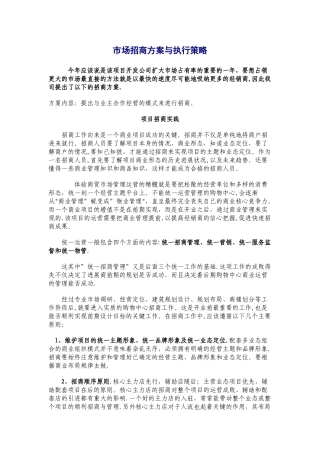 市场招商方案与执行策略