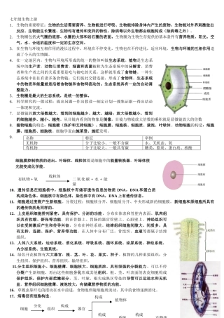 2025年初中生物全册总复习资料