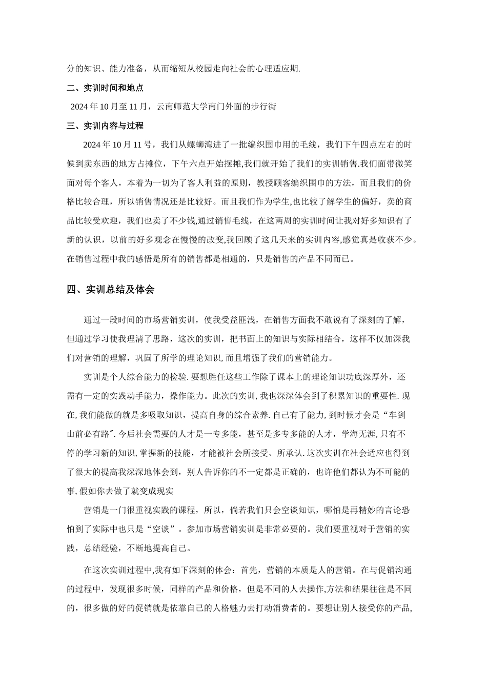市场营销实训学习总结_第2页