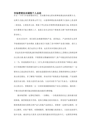 市场营销实训课程个人总结