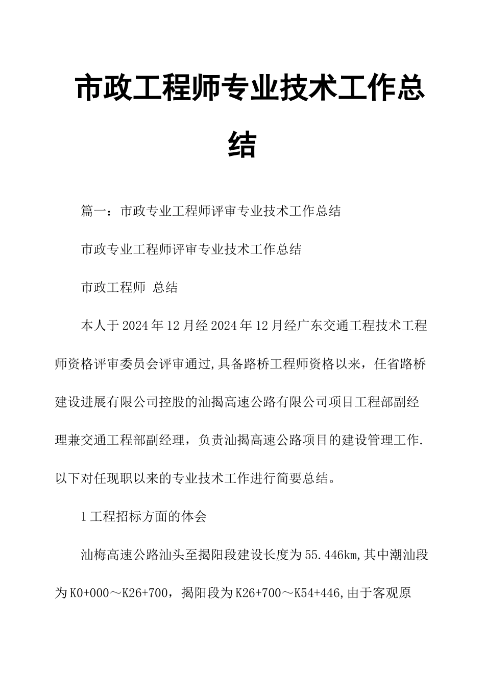 市政工程师专业技术工作总结_第1页