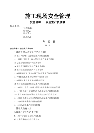 市政道路全套安全台账