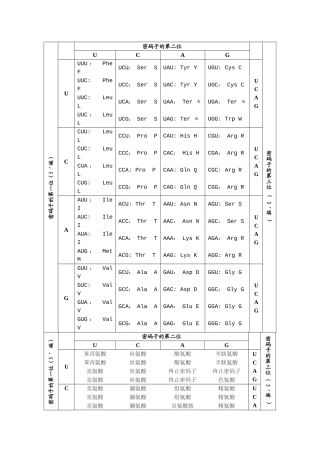 常用密码子表