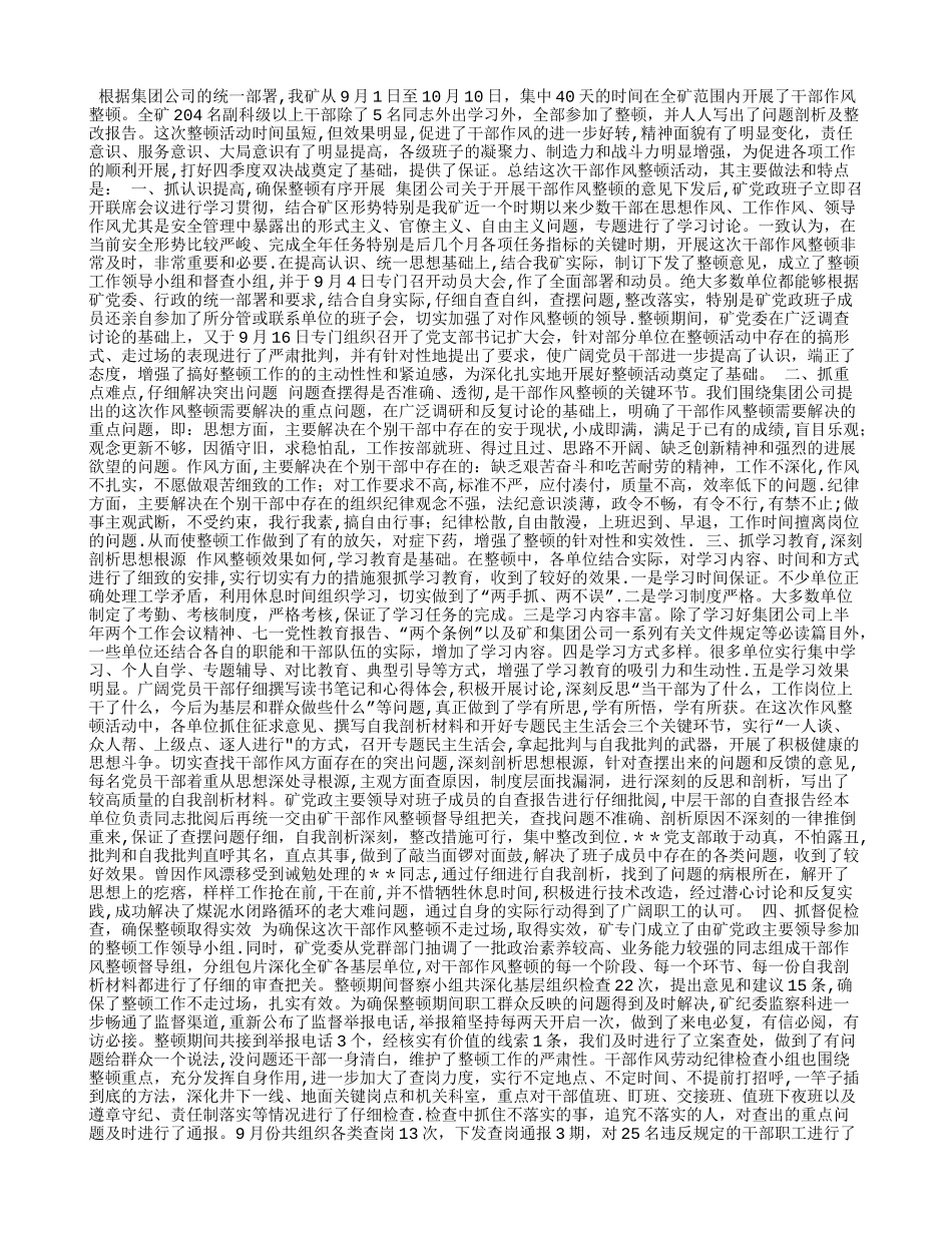 干部作风整顿工作总结_第1页