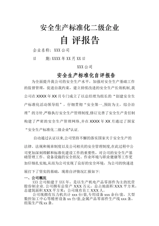 年度安全生产标准化二级企业自评报告