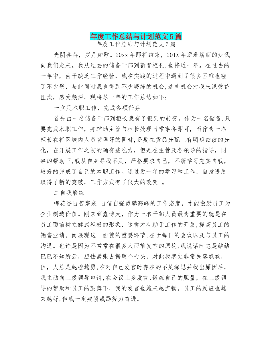年度工作总结与计划范文5篇_第1页