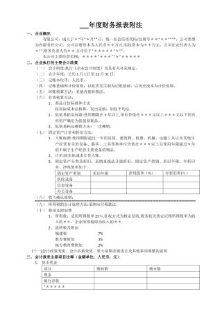 年度财务报表附注