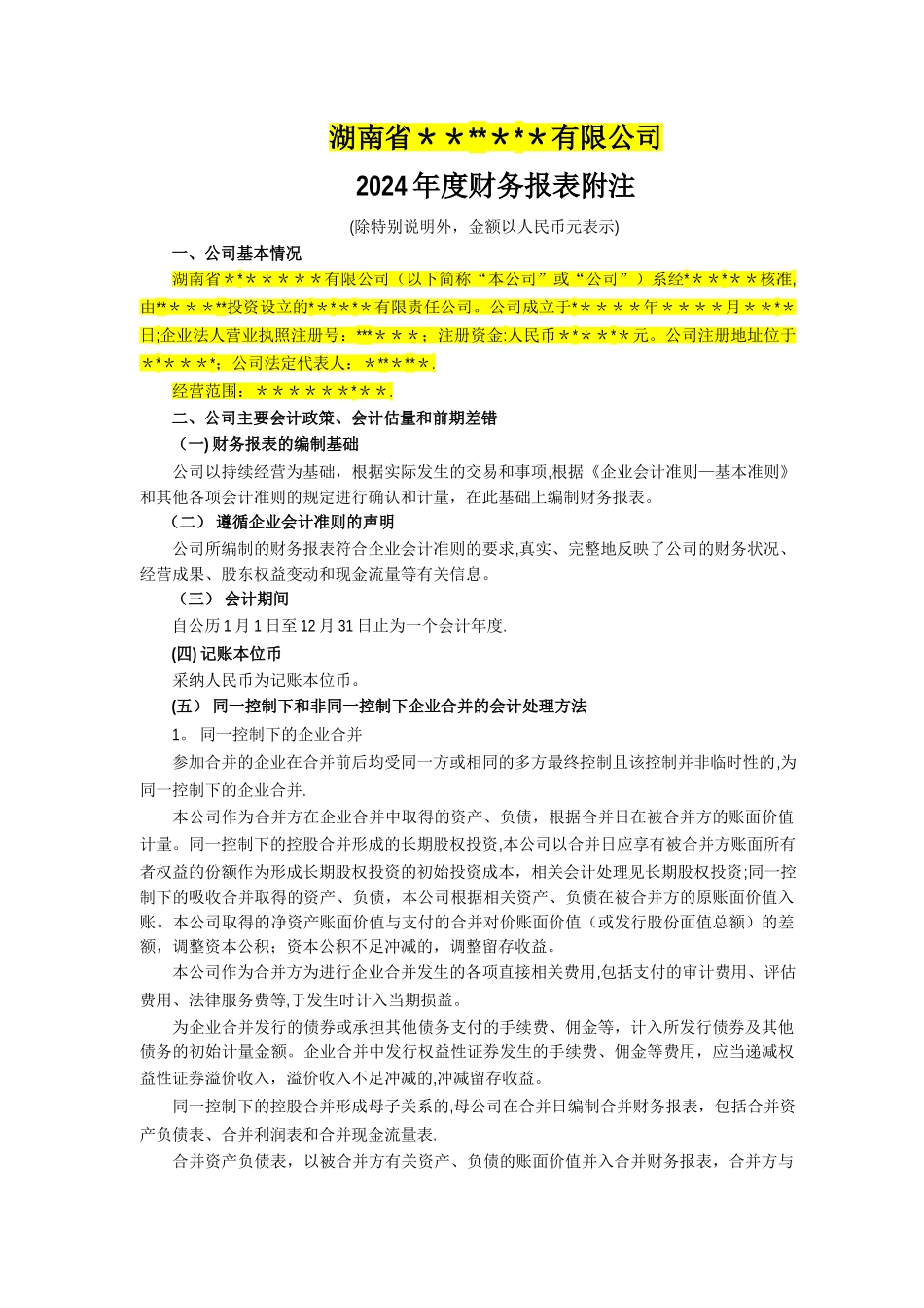 年度财务报表附注模板_第1页