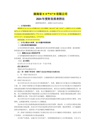 年度财务报表附注模板