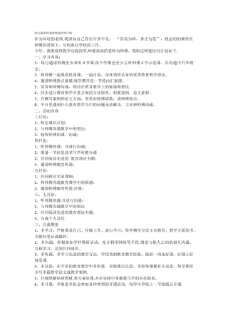 幼儿园年轻教师师徒结对计划