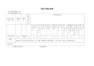 广东省安全标准评比系统项目月度自评表