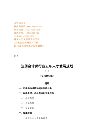 2025年试谈注册会计师行业五年人才发展规划