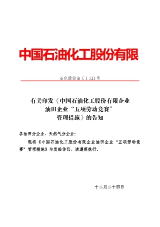 2025年竞赛管理办法石化股份油523号