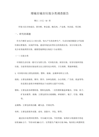 垃圾分类报告