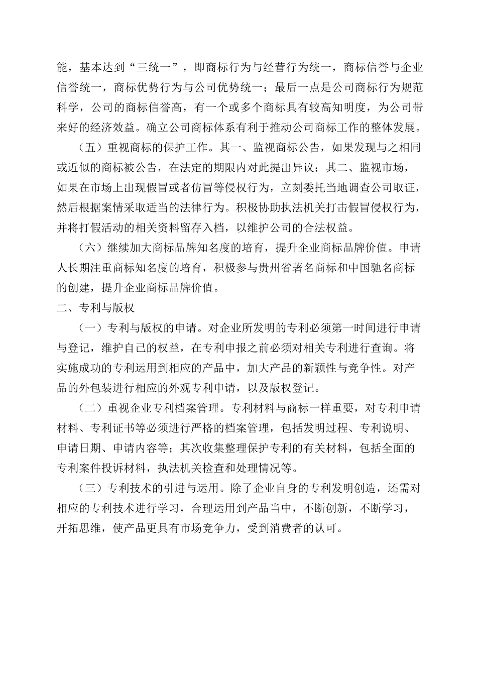 知识产权管理体系制度_第2页