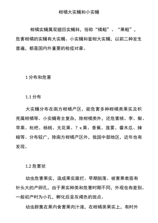 柑橘大实蝇和小实蝇