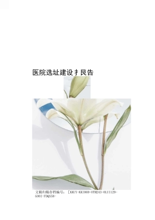 医院选址建设报告