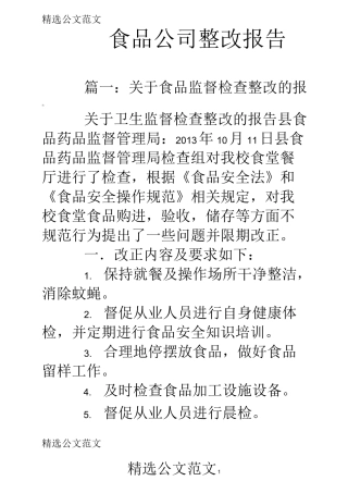 食品公司整改报告