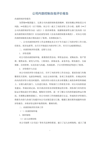 公司内部控制自我评价报告