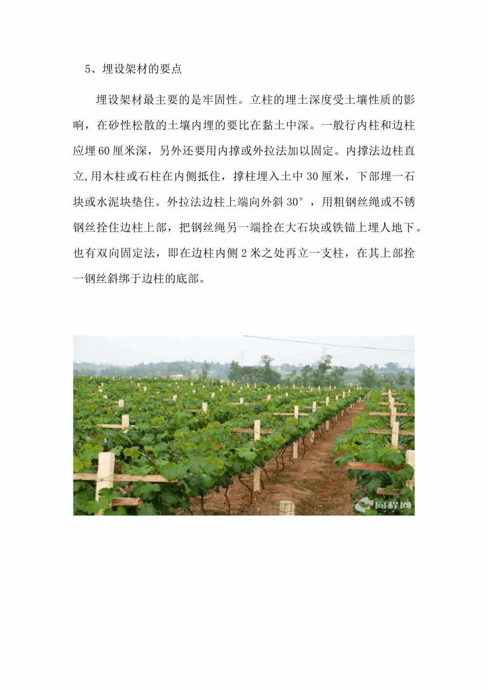葡萄园建设规划方案_第3页