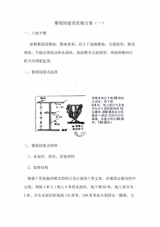 葡萄园建设规划方案