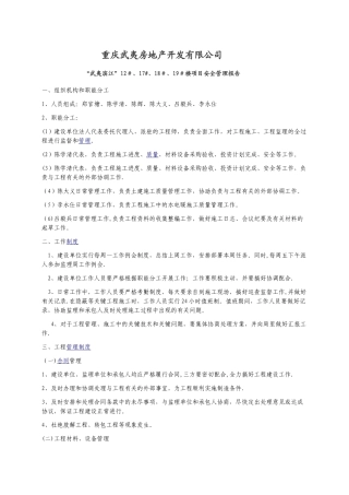 建设单位安全管理报告