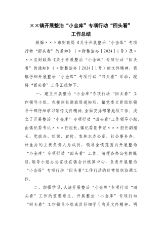 开展整治“小金库”专项行动“回头看”工作总结