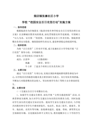 张寨小学校园安全百日攻坚专项整治方案