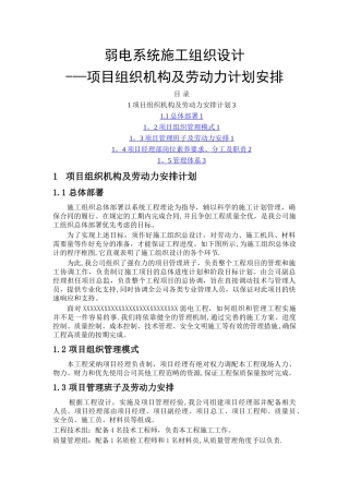 弱电系统项目组织机构及劳动力计划安排描述