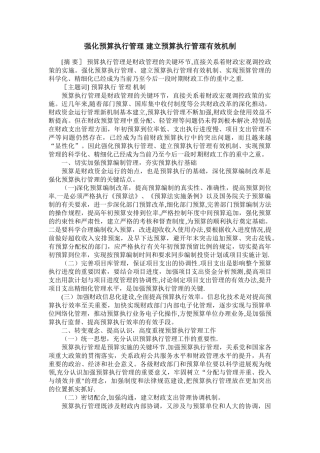 强化预算执行管理-建立预算执行管理有效机制