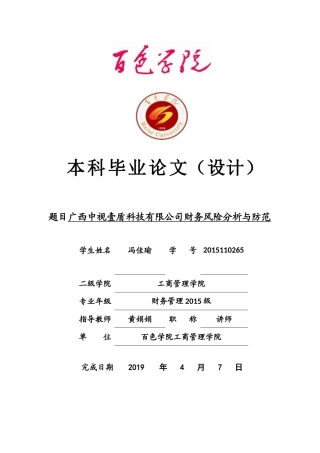 广西中视壹盾科技有限公司财务风险分析与防范
