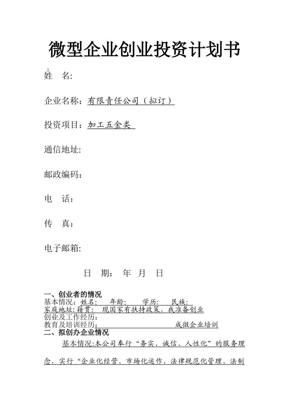 微型企业创业投资计划书_第1页