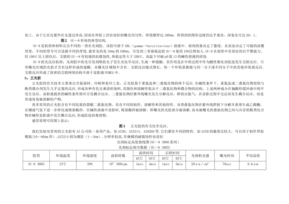 微纳加工工艺流程_第2页