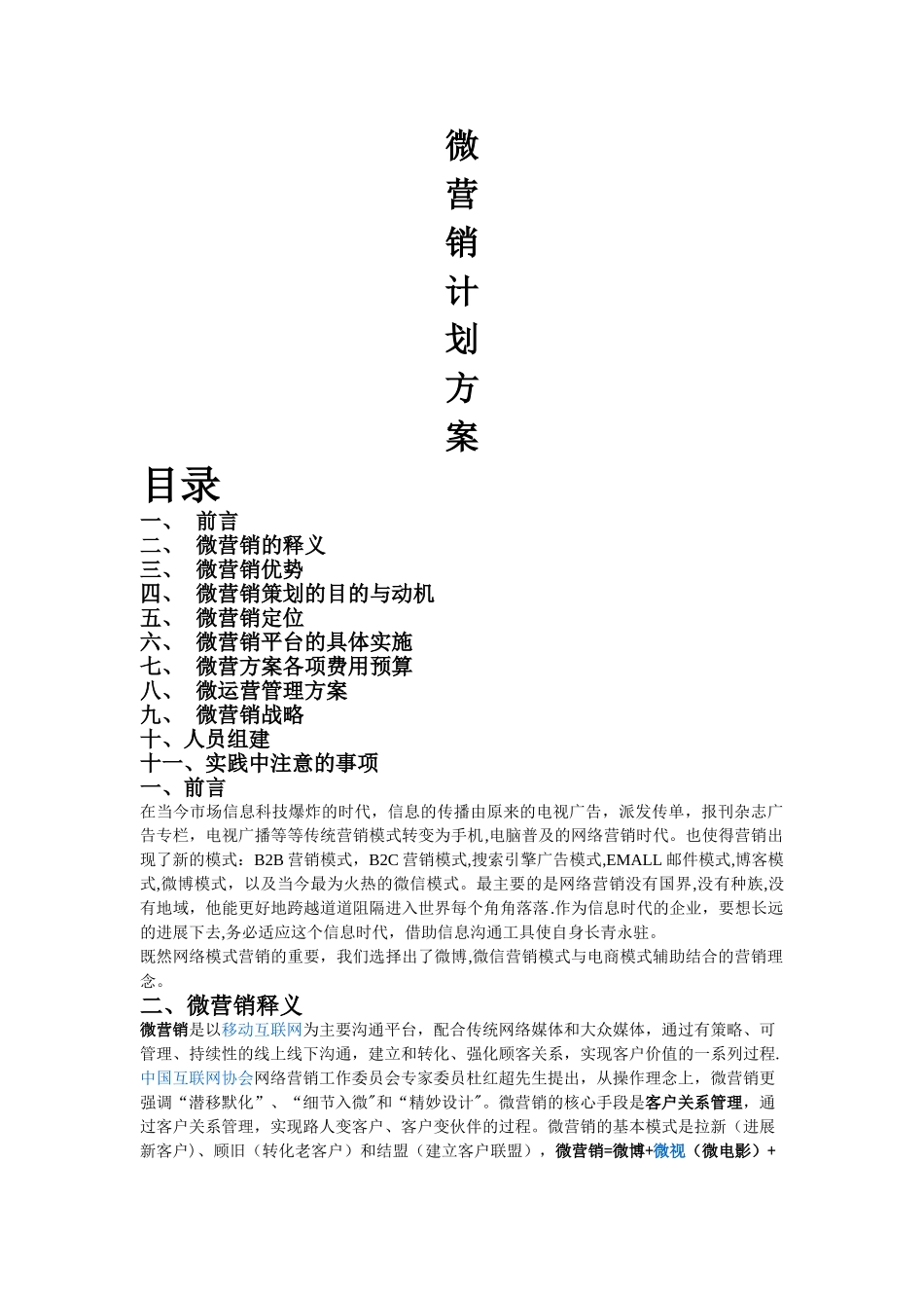 微营销策划方案_第1页