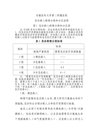 急诊病人病情分级和分区流程