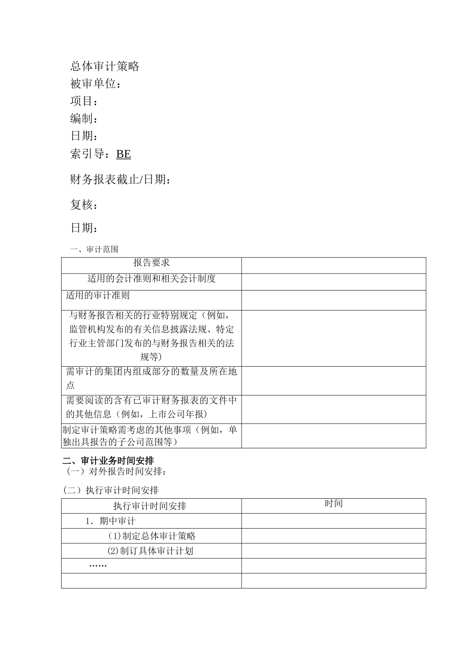 总体审计策略及具体审计计划实物模板_第1页