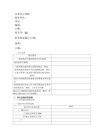 总体审计策略及具体审计计划实物模板
