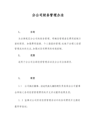 总公司下设分公司财务管理办法