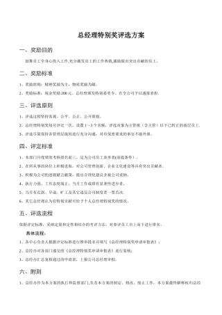 总经理特别奖评选方案