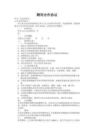 总经理聘用合作协议