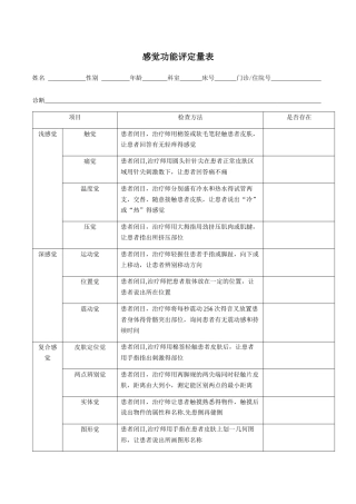 感觉功能评定量表