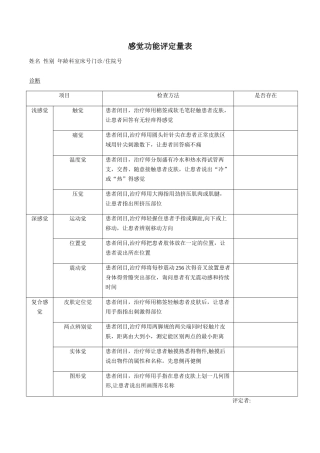 感觉功能评定量表