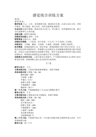 感觉统合训练方案