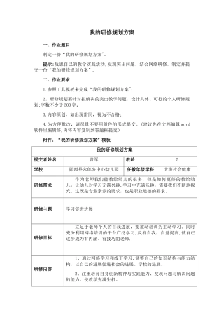 我的研修规划方案