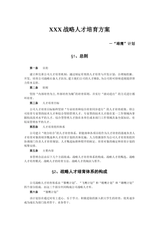 战略人才培养方案
