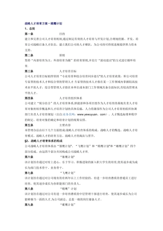 战略人才培养方案-雄鹰计划