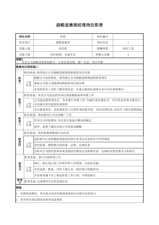 战略发展部经理岗位说明书
