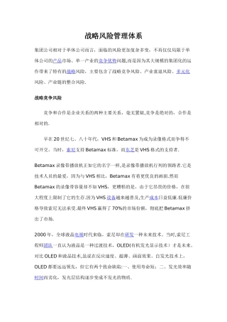 战略风险管理体系