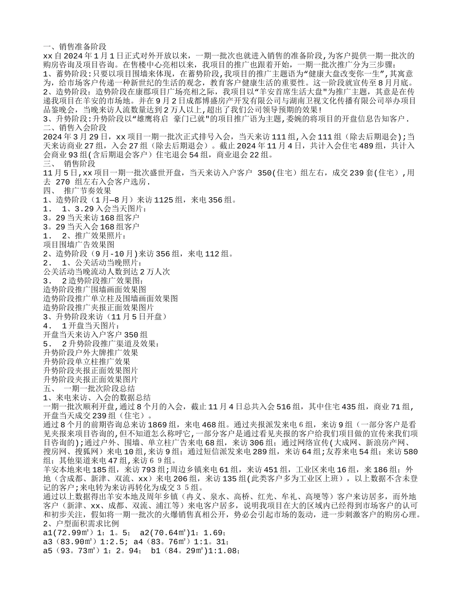 房地产开盘销售总结_第1页