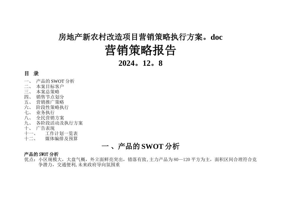 房地产新农村改造项目营销策略执行方案_第1页